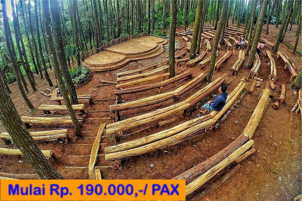Jogja One Day Trip Weekday Hutan Pinus