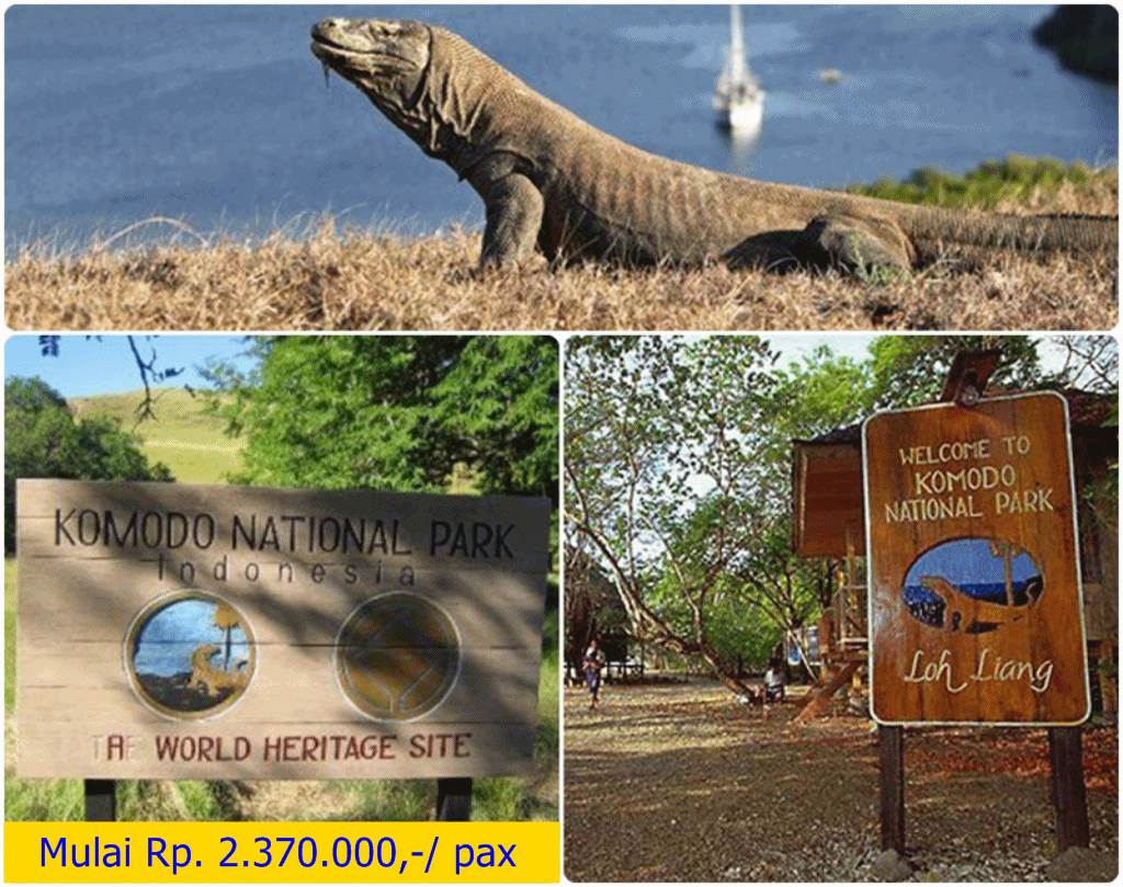 KOMODO Island Adventure